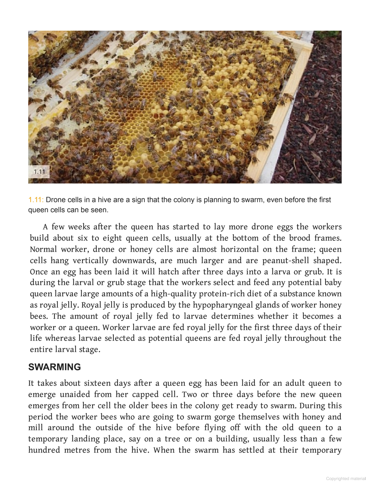 Australian Beekeeping Manual Author : Robert Owen