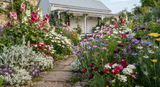 Tasmanian ccottage garden seeds