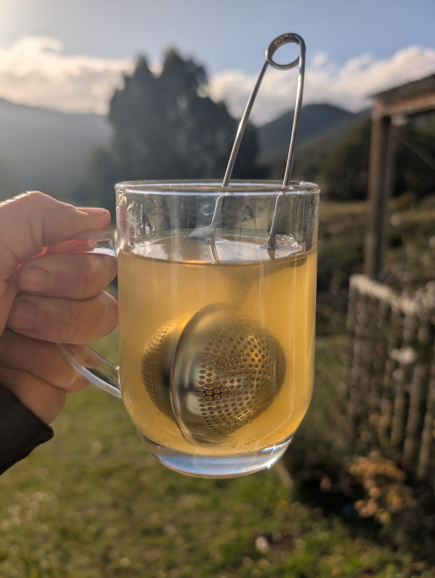 Herbal tea infuser