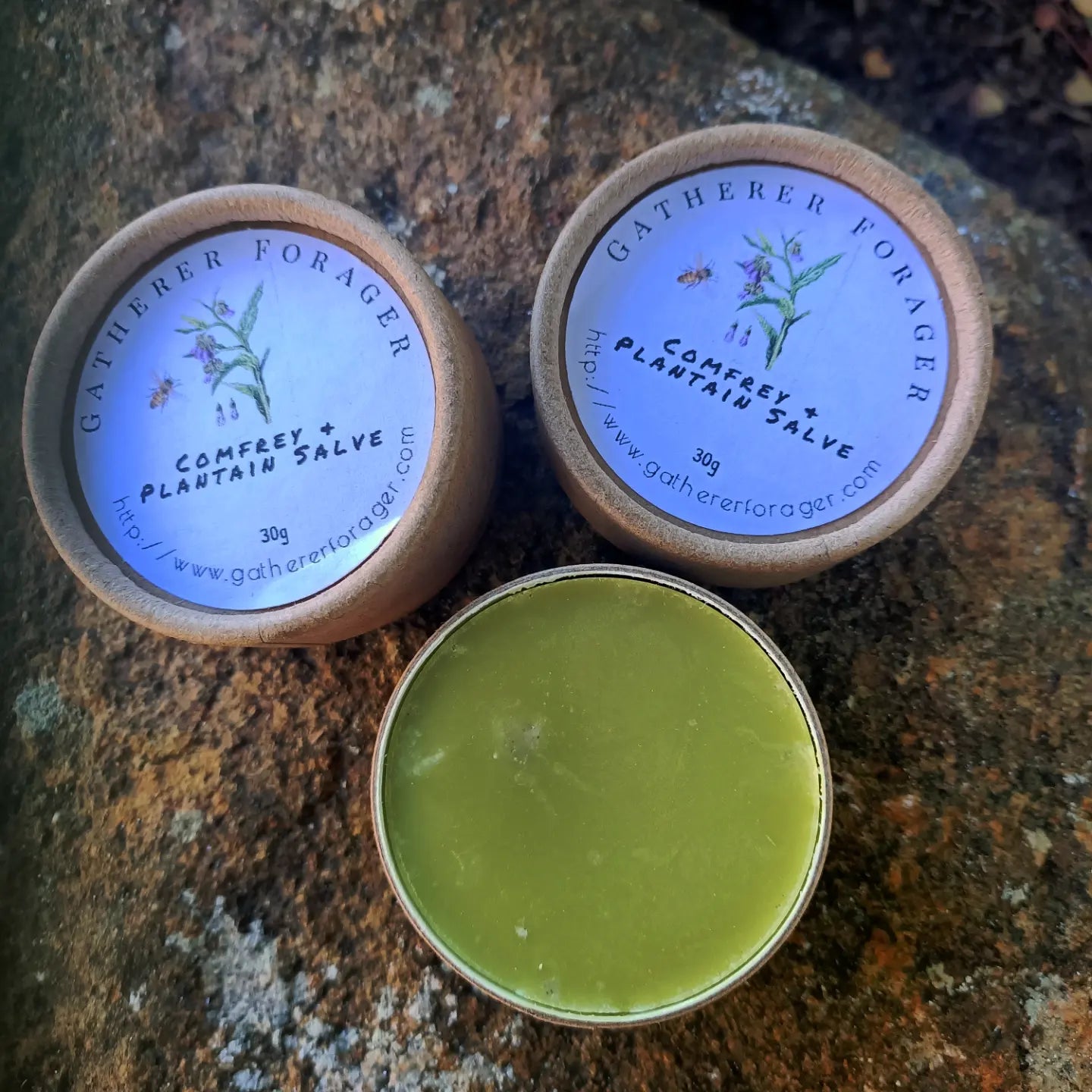 Comfrey and Plantain Bump and bruise salve