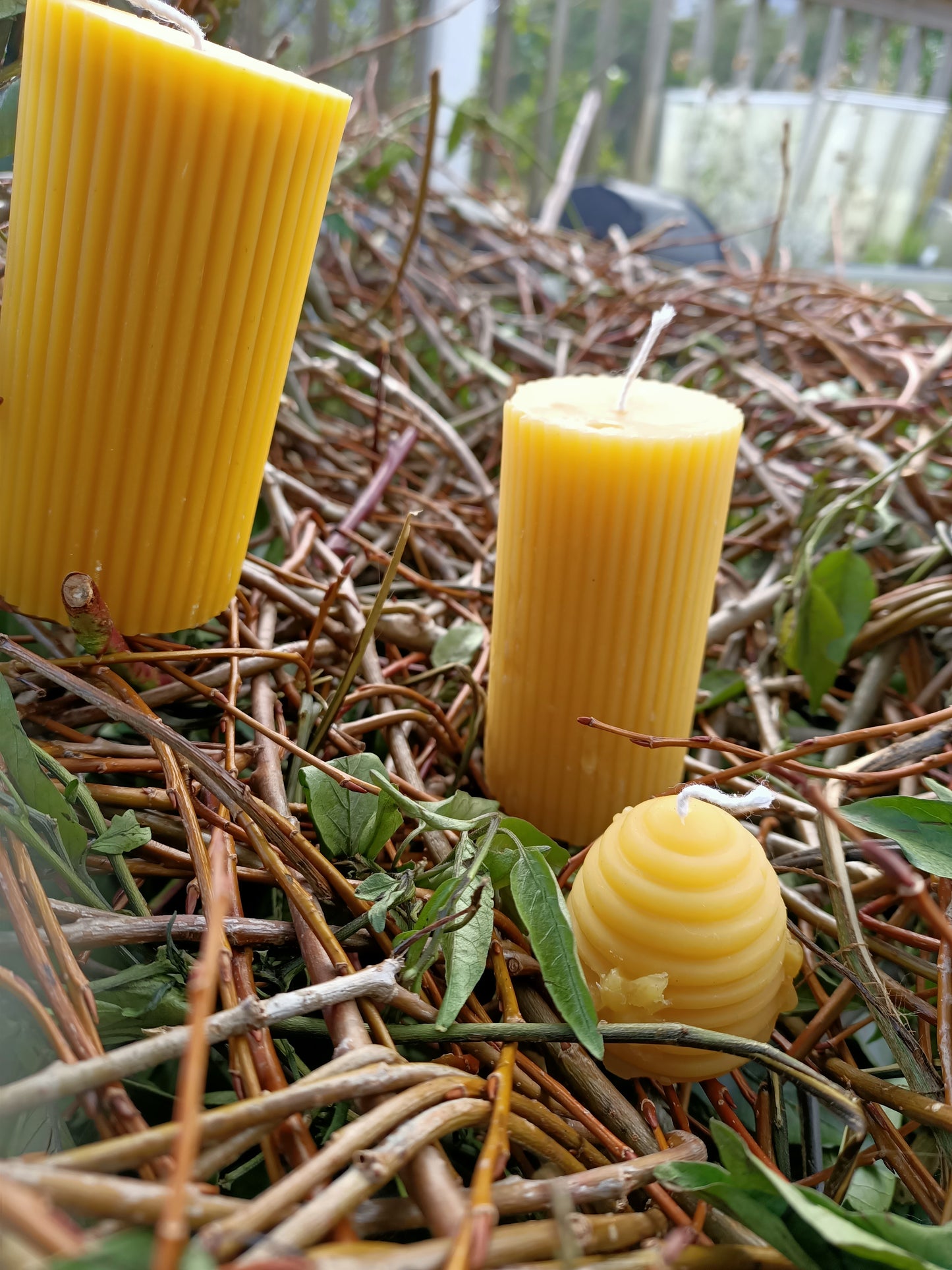 Beeswax Candles