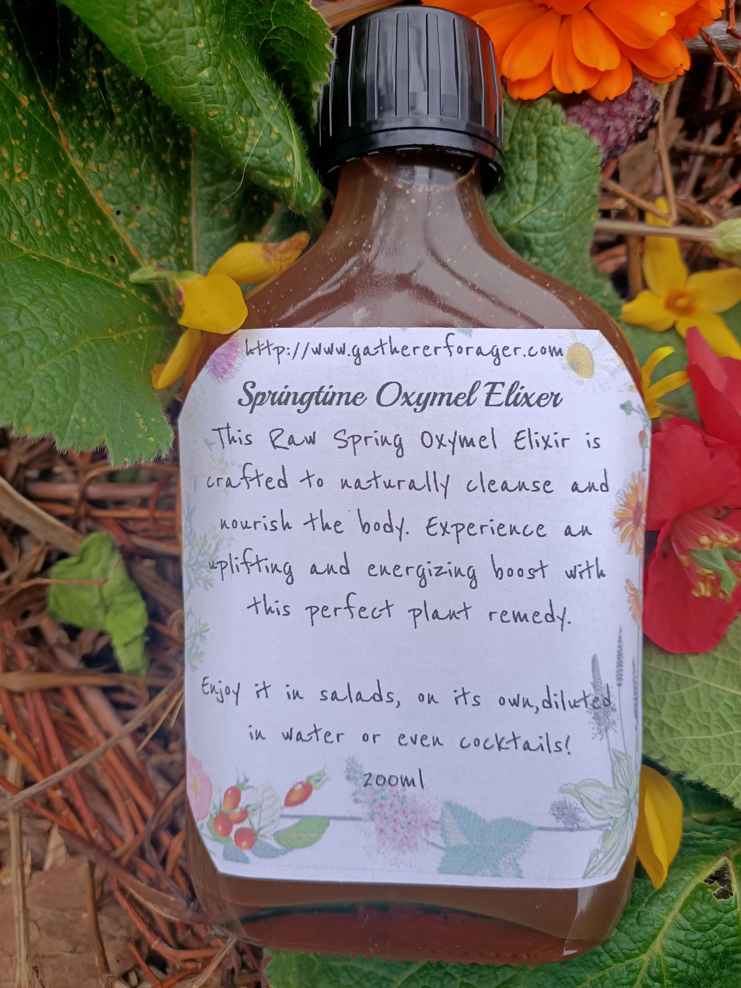 Spring Oxymel Elixer