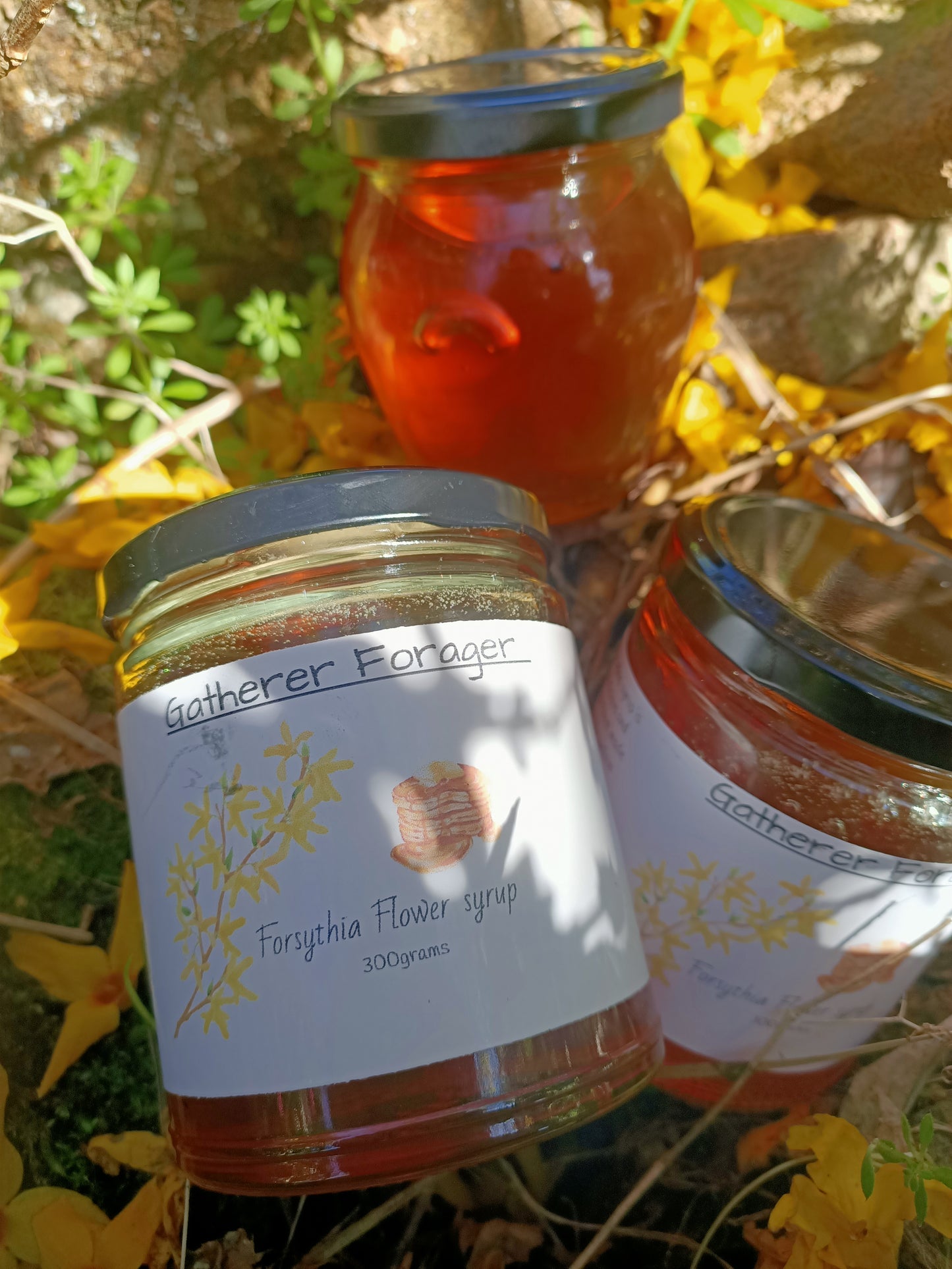 Forsythia Flower Syrup