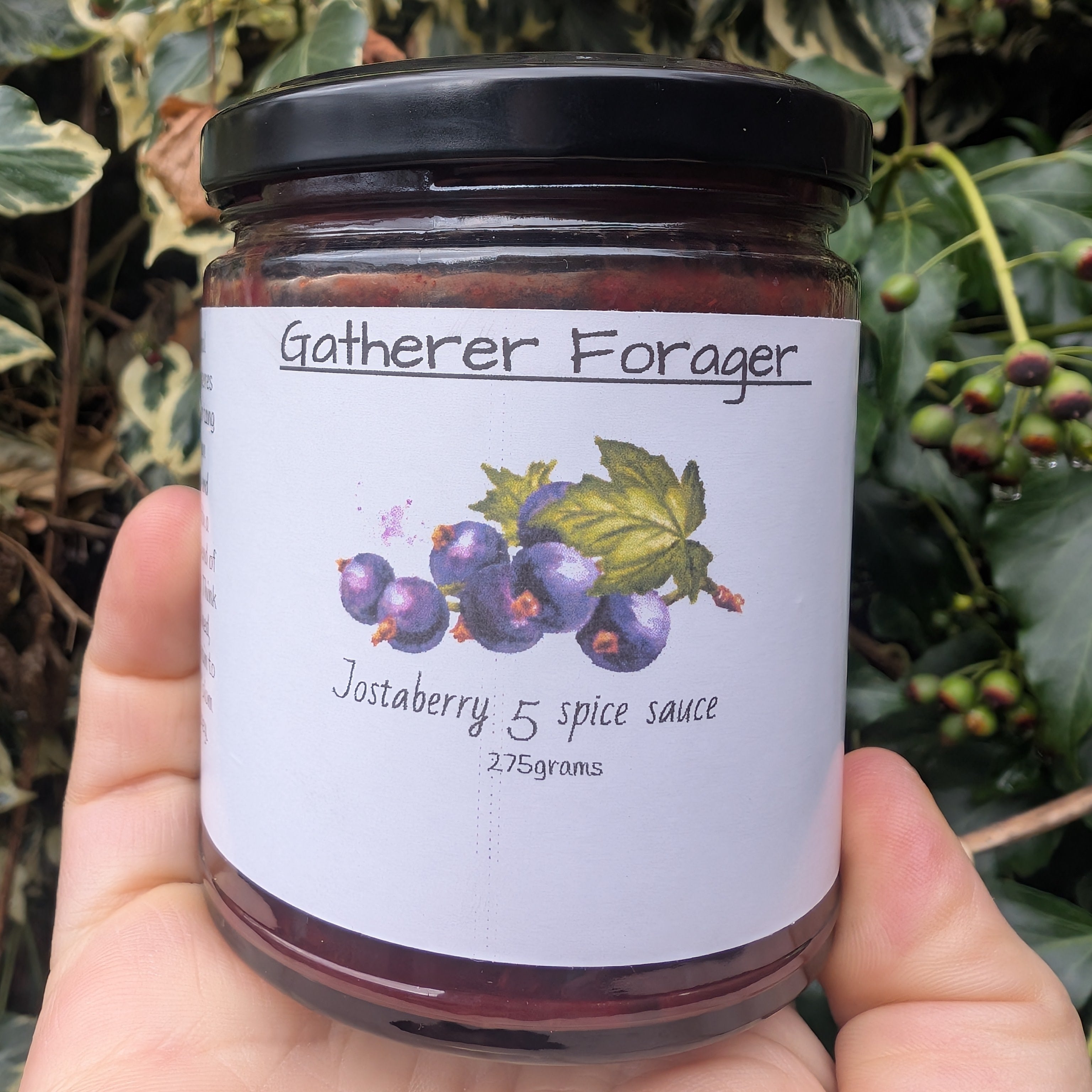 Jar of 'Gatherer Forager' jostaberry 5 spice sauce held in front of a leafy background