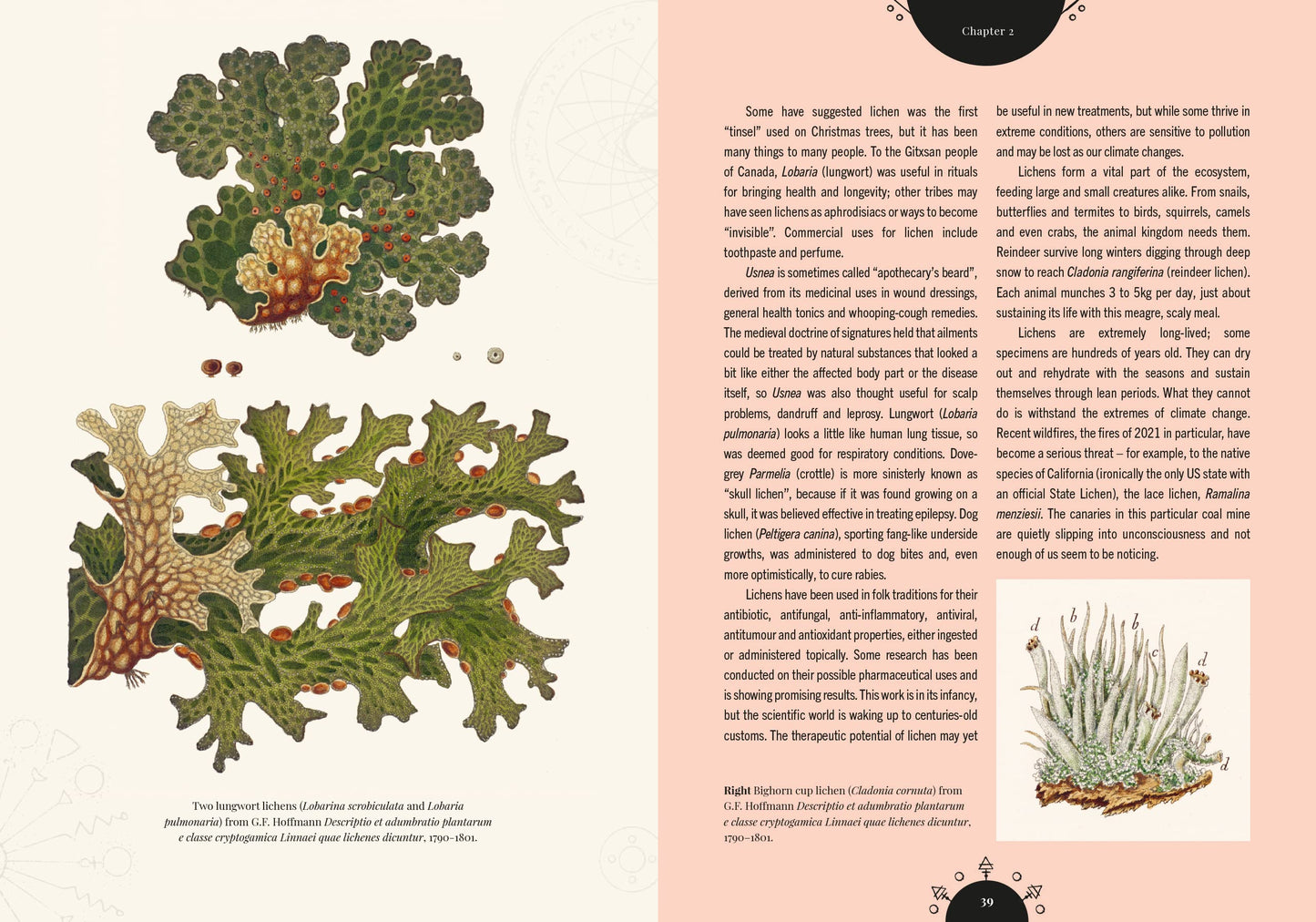 The Magic of Mushrooms (Kew Gardens) Fungi in folklore, science and the occult