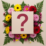 Seasonal Mystery box