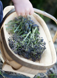Boy carrying purple sprouting broccoli
