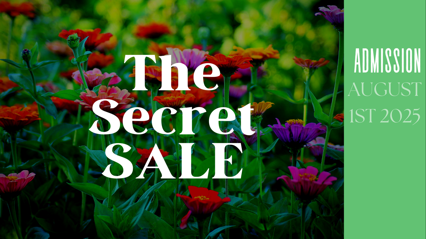 Secret sale Mystery seed 5 pack