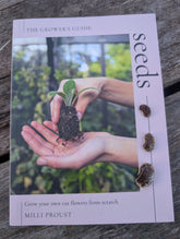 Seeds by Milli Proust