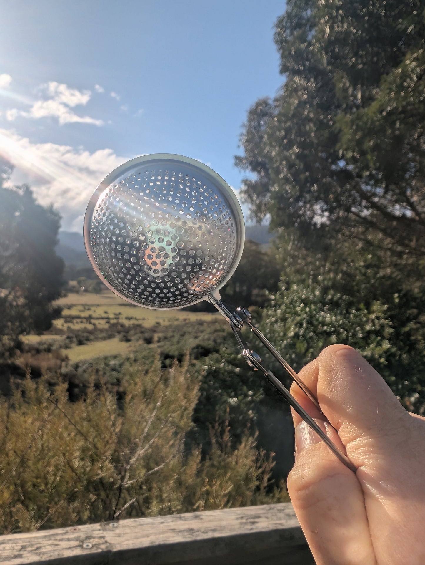Stainless steel tea strainer