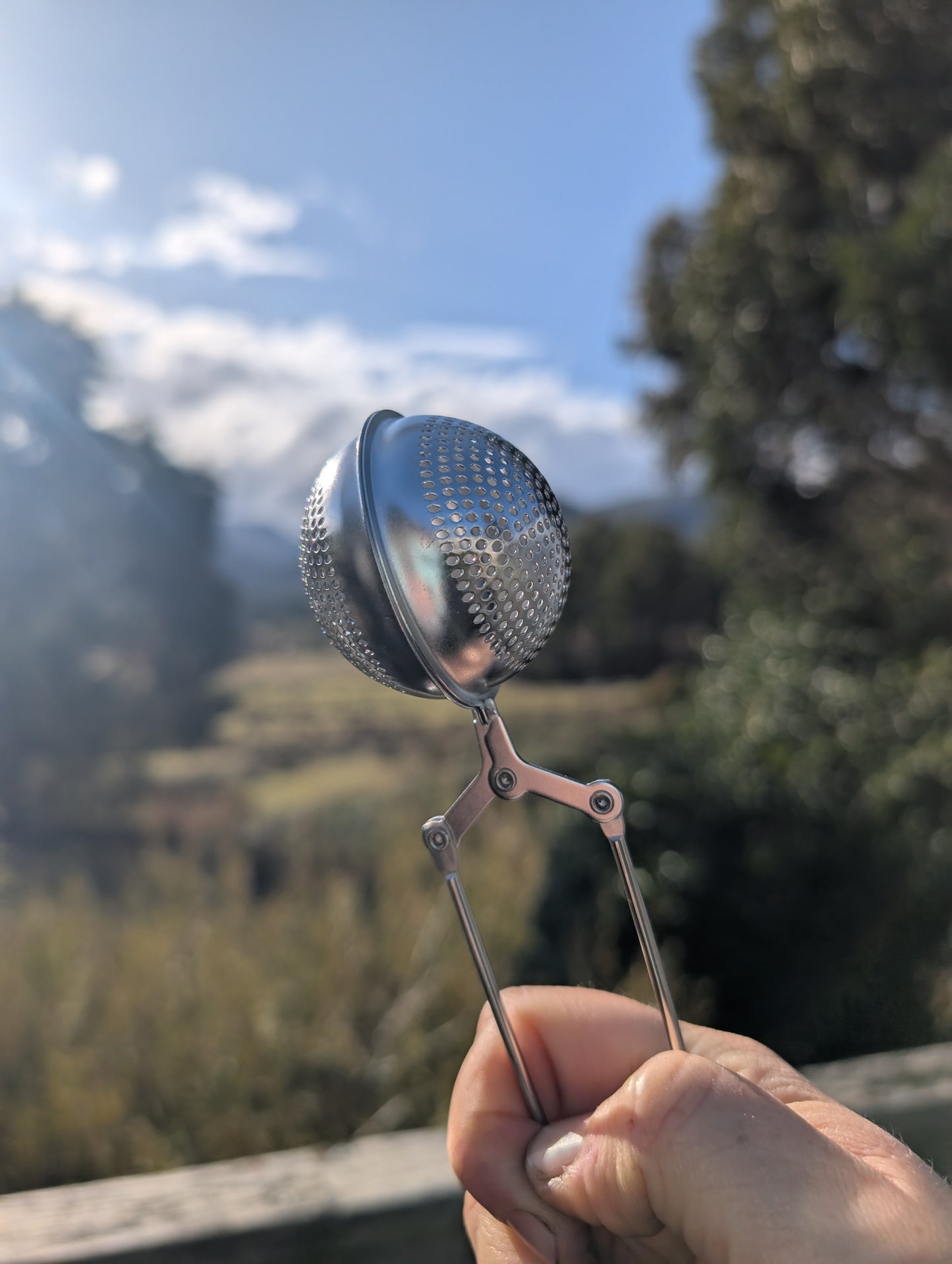 Herbal tea strainer
