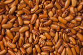 Tigers Eye bean seeds