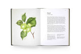 A Forager's Guide to Wild Drinks - Ferments, Infusions, and Thirst-Quenchers for Every Season by Liz Knight