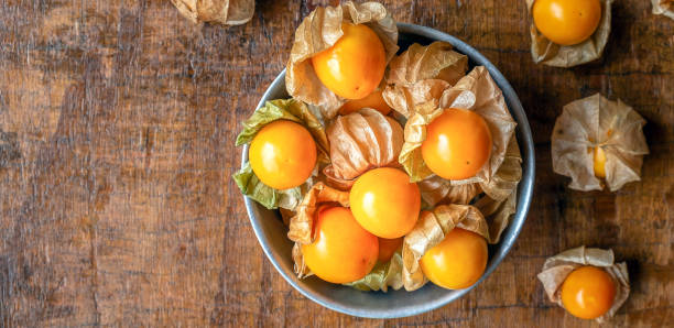 Cape gooseberry golden nugget