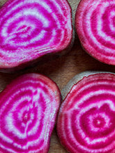 Beetroot seeds Tasmania