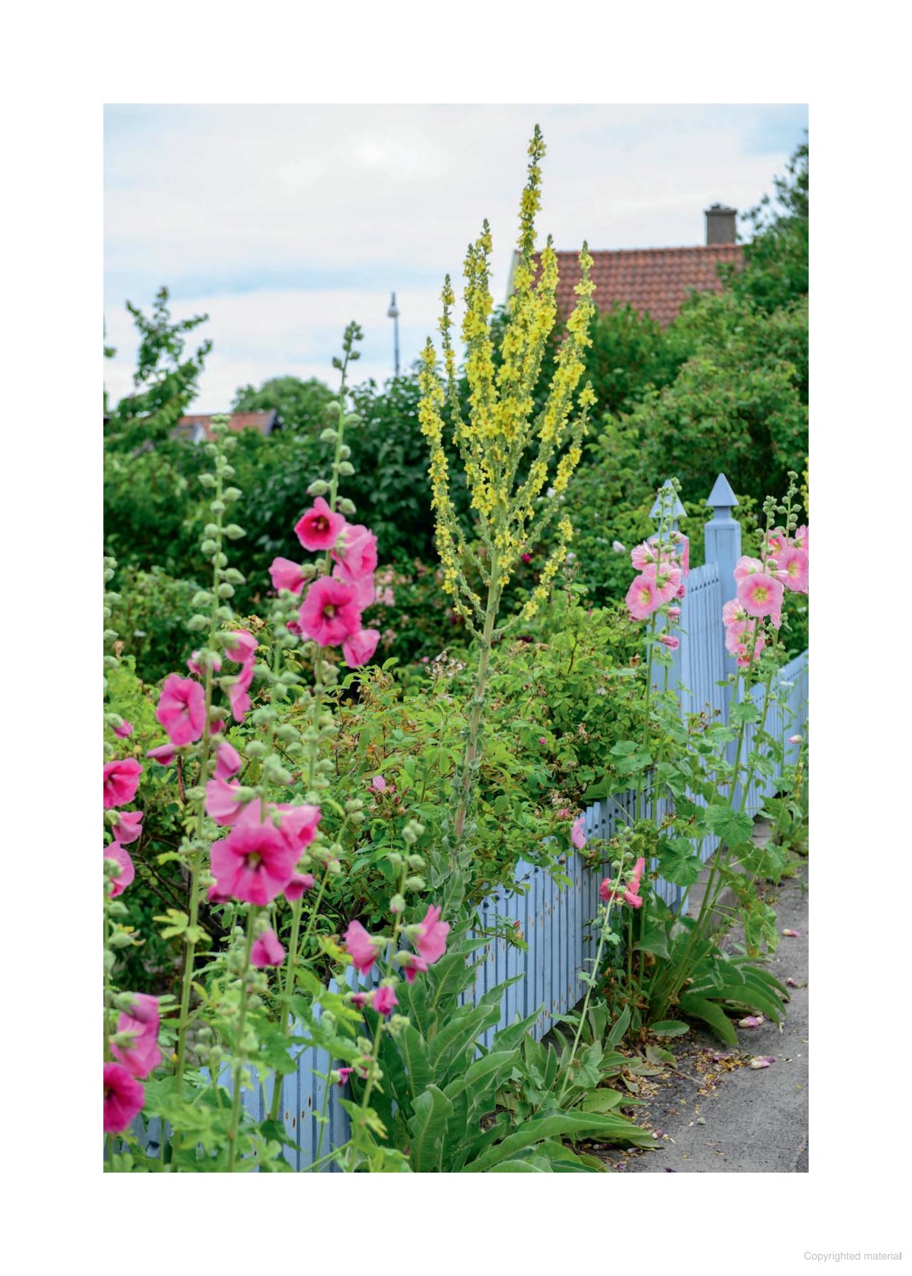 The cottage garden