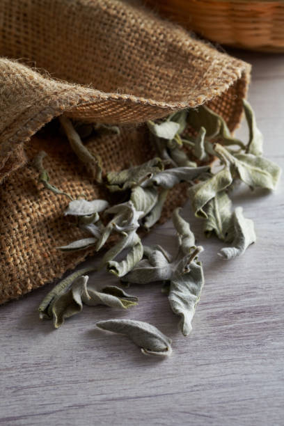 Organic dried white sage