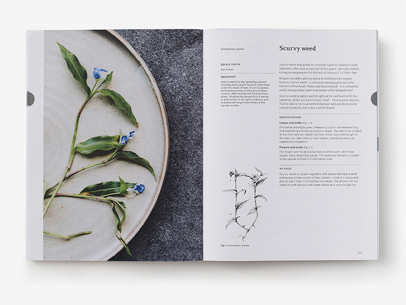 Eat Weeds A field guide to foraging: How to identify, harvest, eat and use wild plants By: Diego Bonetto