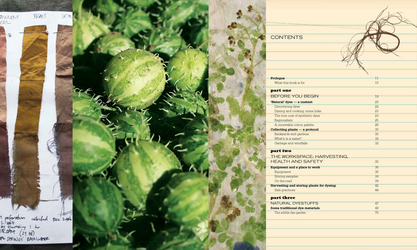 Eco Colour Botanical dyes for beautiful textiles By: India Flint