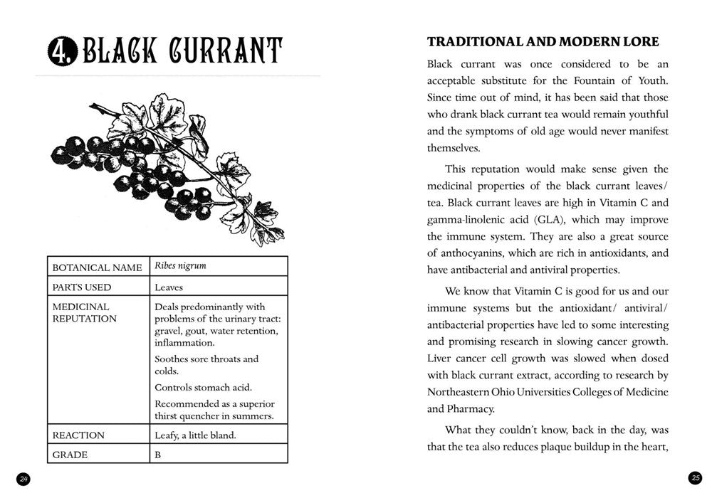 Everyday herbal tea making - A pocket guide for health, fun and self care