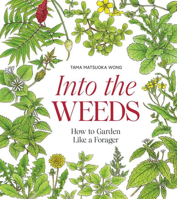 Into the Weeds Tama Matsuoka Wong How to Garden Like a Forager