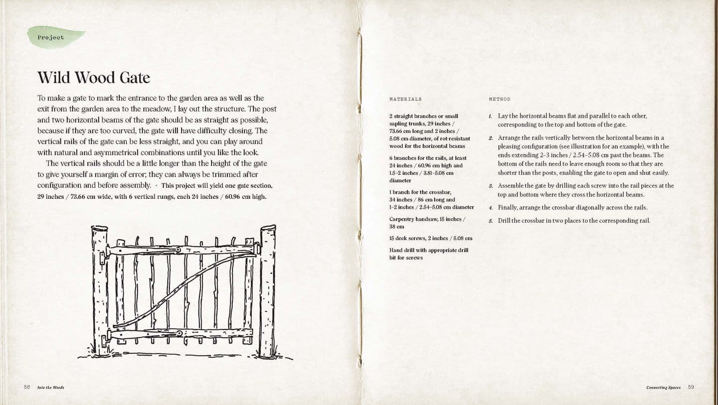 Into the Weeds Tama Matsuoka Wong How to Garden Like a Forager