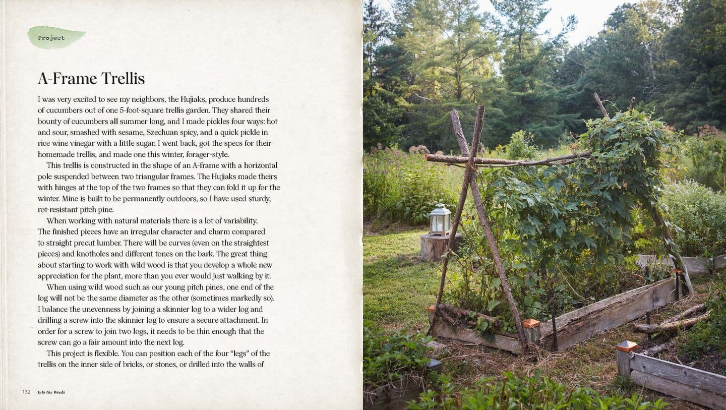 Into the Weeds Tama Matsuoka Wong How to Garden Like a Forager