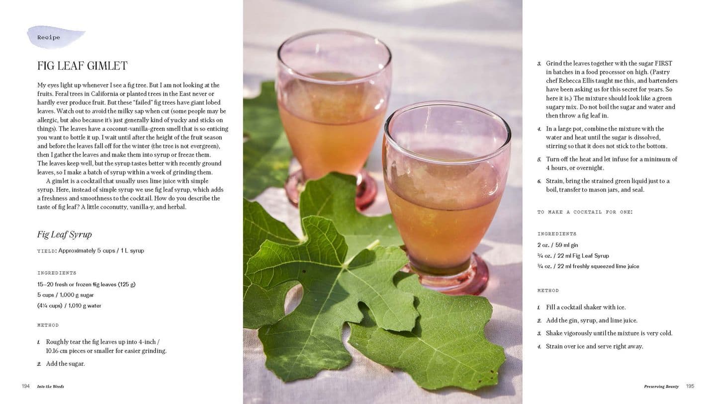 Into the Weeds Tama Matsuoka Wong How to Garden Like a Forager