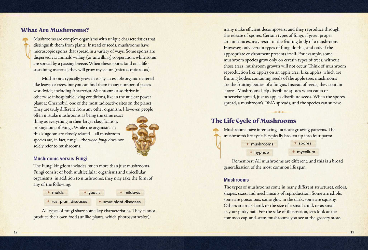 The Little Book of Mushrooms An Illustrated Guide to the Extraordinary Power of Mushrooms By: Alex Dorr, Sara Richard (Illustrator)