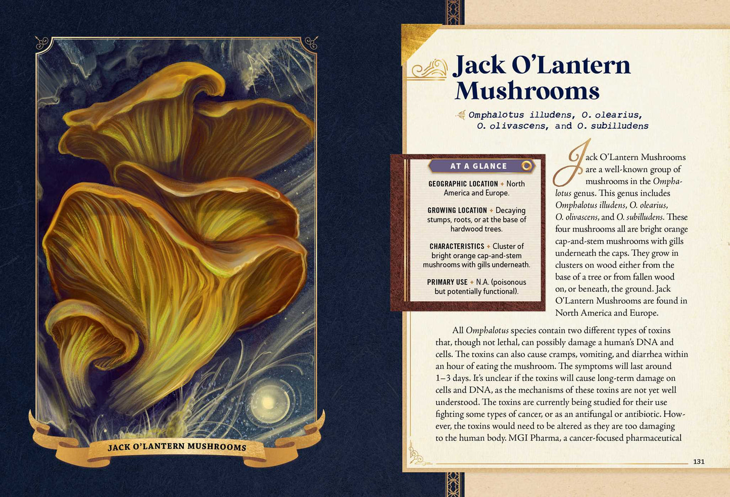 The Little Book of Mushrooms An Illustrated Guide to the Extraordinary Power of Mushrooms By: Alex Dorr, Sara Richard (Illustrator)