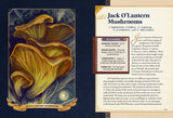 The Little Book of Mushrooms An Illustrated Guide to the Extraordinary Power of Mushrooms By: Alex Dorr, Sara Richard (Illustrator)