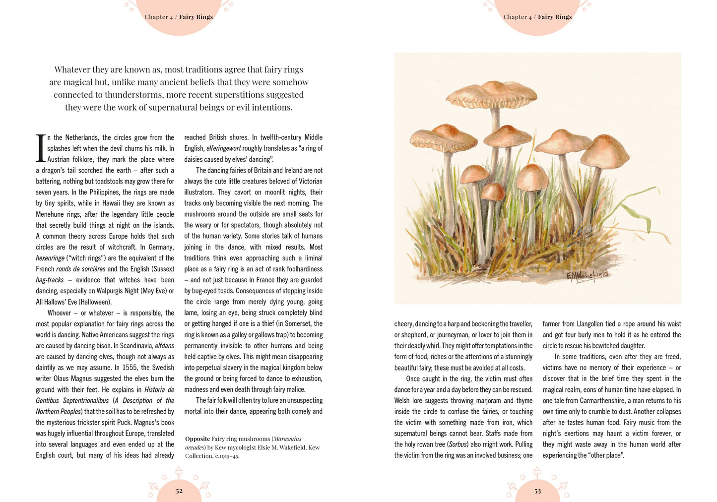 The Magic of Mushrooms (Kew Gardens) Fungi in folklore, science and the occult