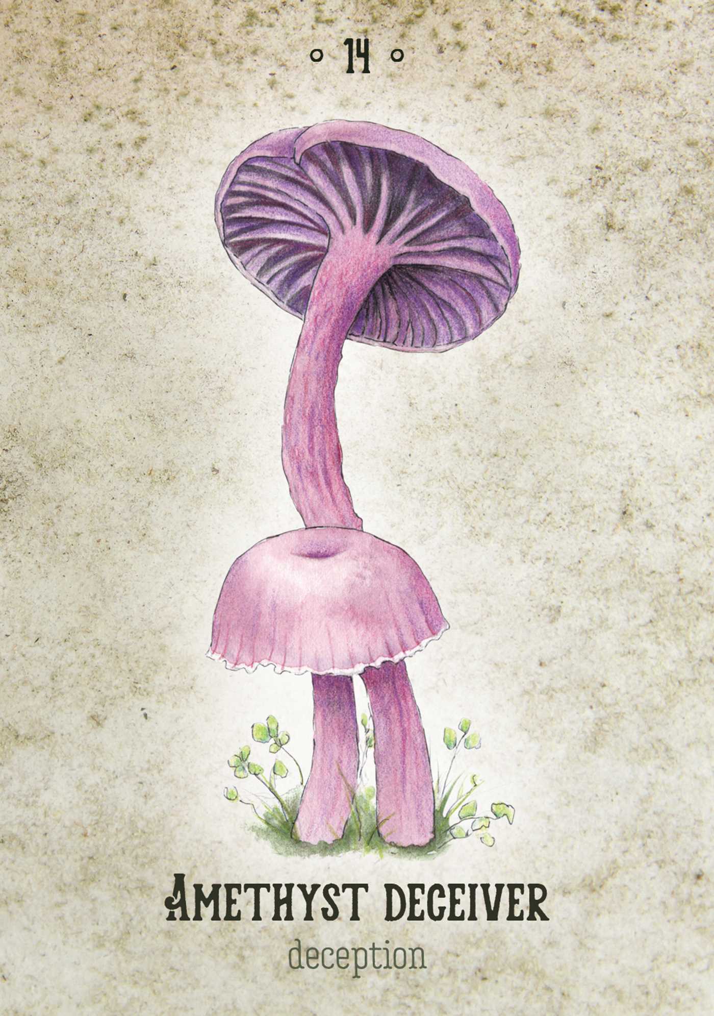 Mushroom Spirit Oracle - (36 Gilded Cards and 112-Page Full-Color Guidebook) By Nicola McIntosh