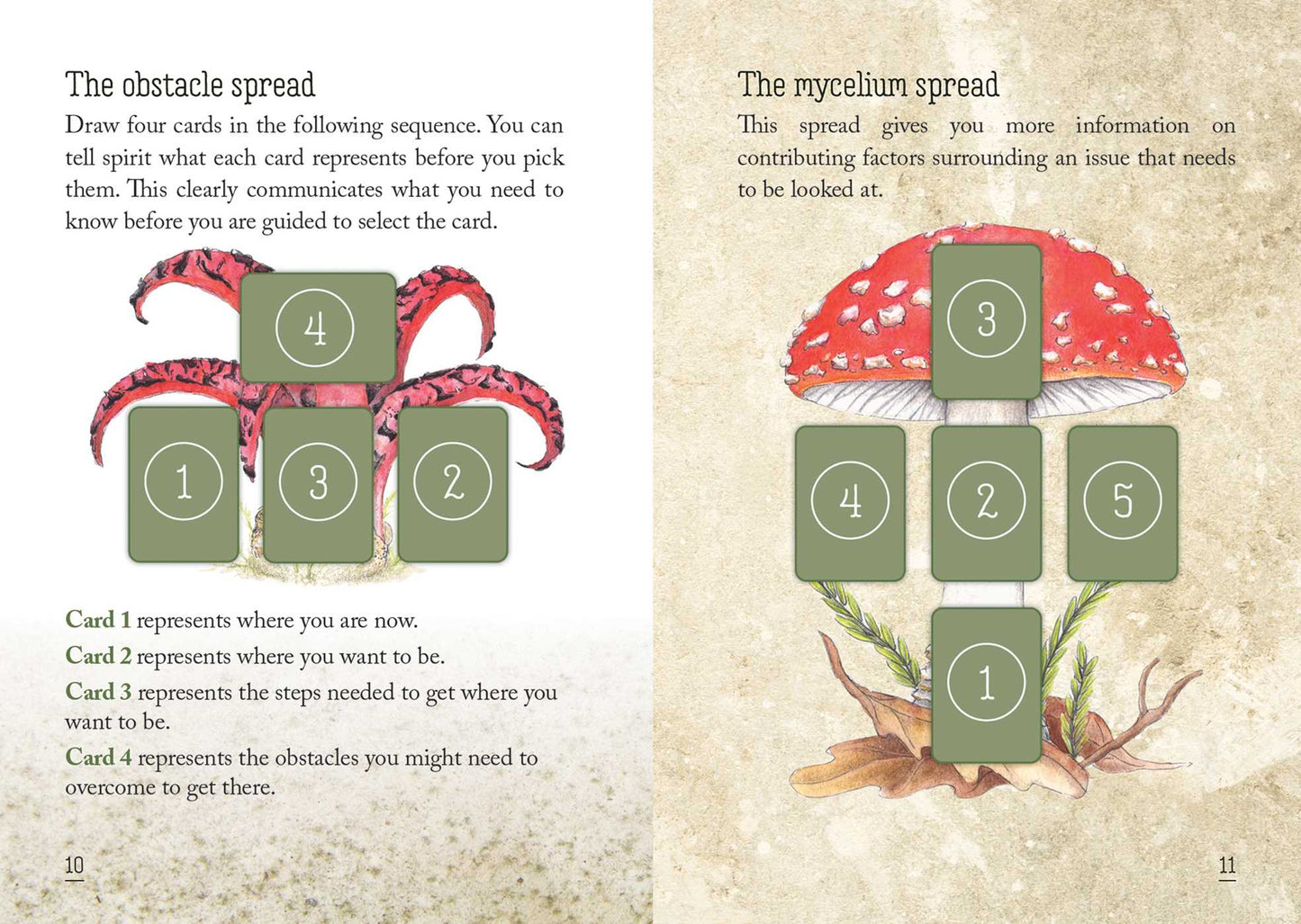 Mushroom Spirit Oracle - (36 Gilded Cards and 112-Page Full-Color Guidebook) By Nicola McIntosh