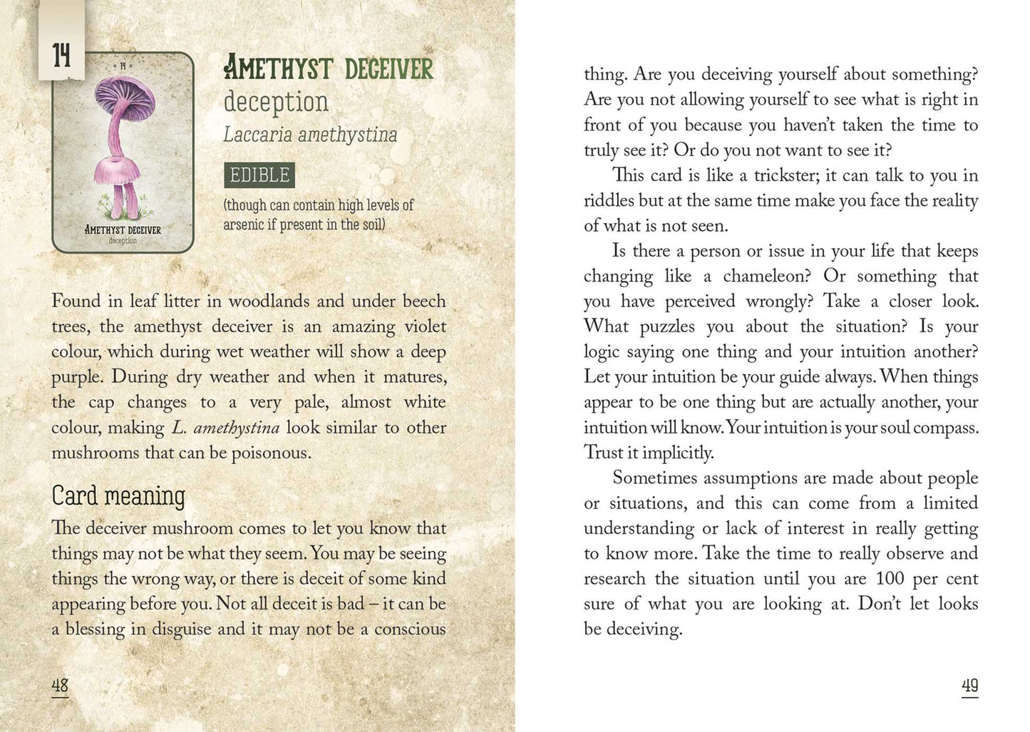 Mushroom Spirit Oracle - (36 Gilded Cards and 112-Page Full-Color Guidebook) By Nicola McIntosh