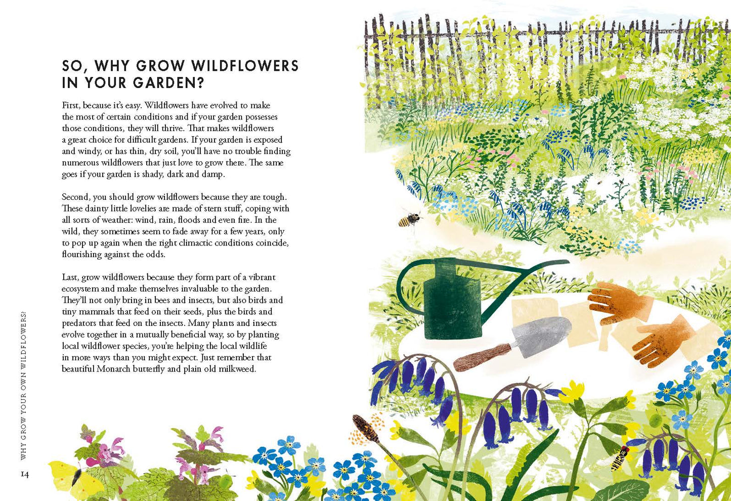 Planting Wildflowers A Grower's Guide By: Jane Moore