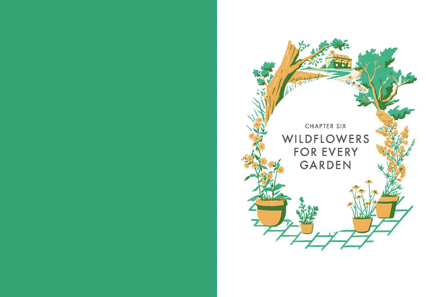 Planting Wildflowers A Grower's Guide By: Jane Moore