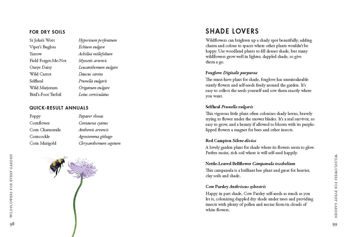 Planting Wildflowers A Grower's Guide By: Jane Moore