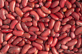 Red Hidasta climbing bean seed