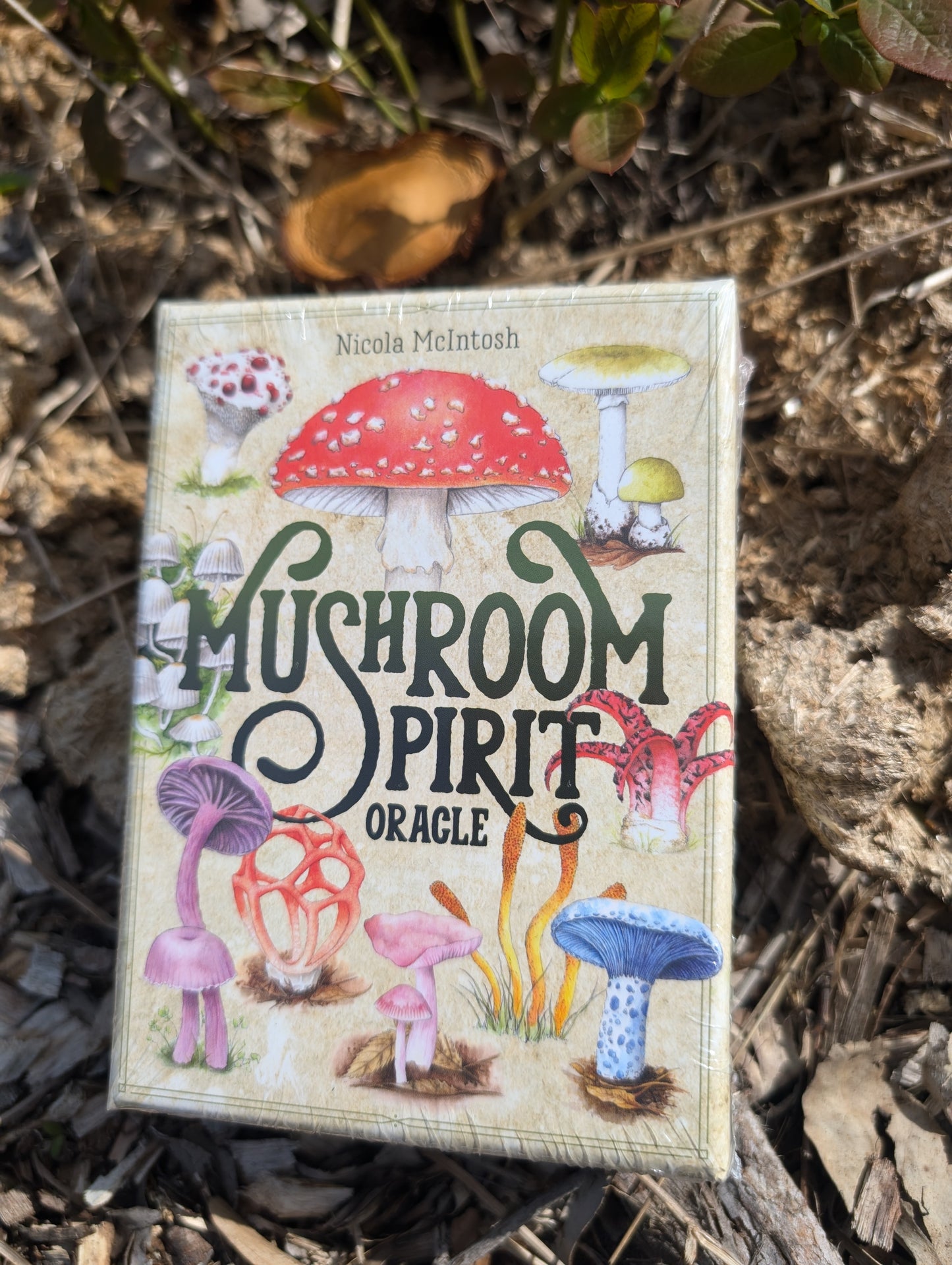 Mushroom Spirit Oracle - (36 Gilded Cards and 112-Page Full-Color Guidebook) By Nicola McIntosh