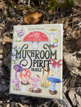 Mushroom Spirit Oracle - (36 Gilded Cards and 112-Page Full-Color Guidebook) By Nicola McIntosh