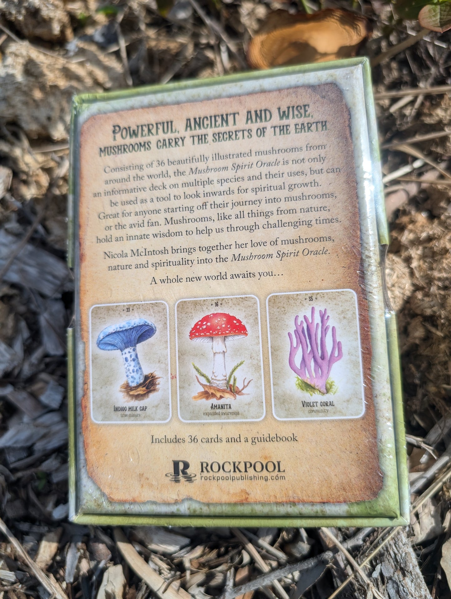 Mushroom Spirit Oracle - (36 Gilded Cards and 112-Page Full-Color Guidebook) By Nicola McIntosh