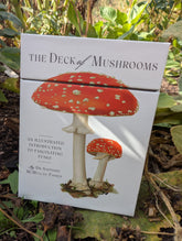 The deck of Mushrooms