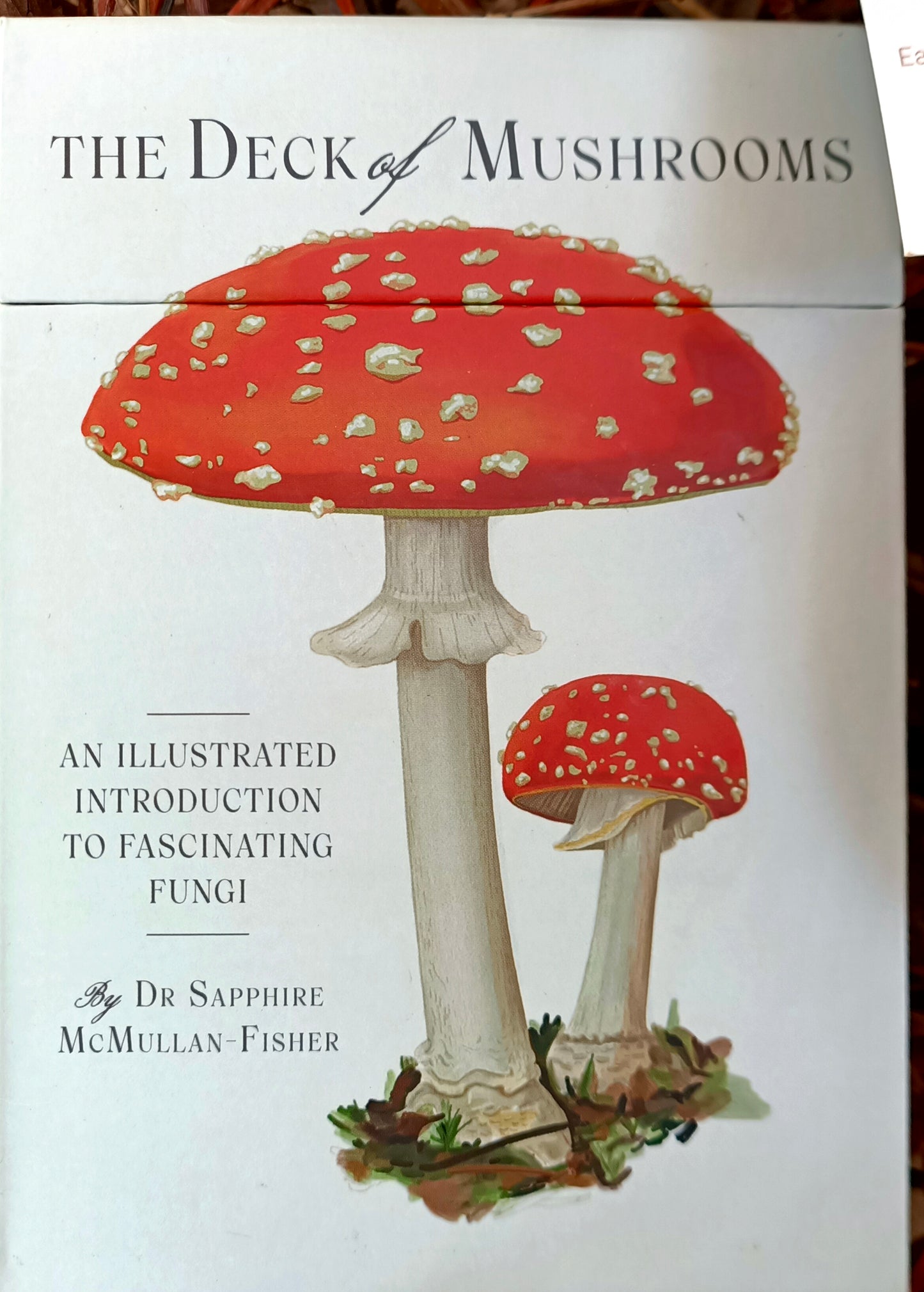 Mushroom Lovers Gift pack