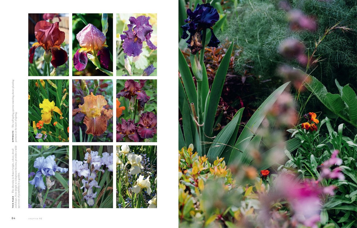 Super Bloom A field guide to flowers for every gardener By: Jac Semmler