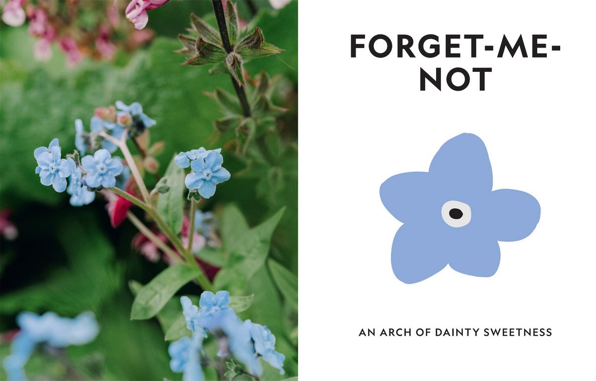 Super Bloom A field guide to flowers for every gardener By: Jac Semmler