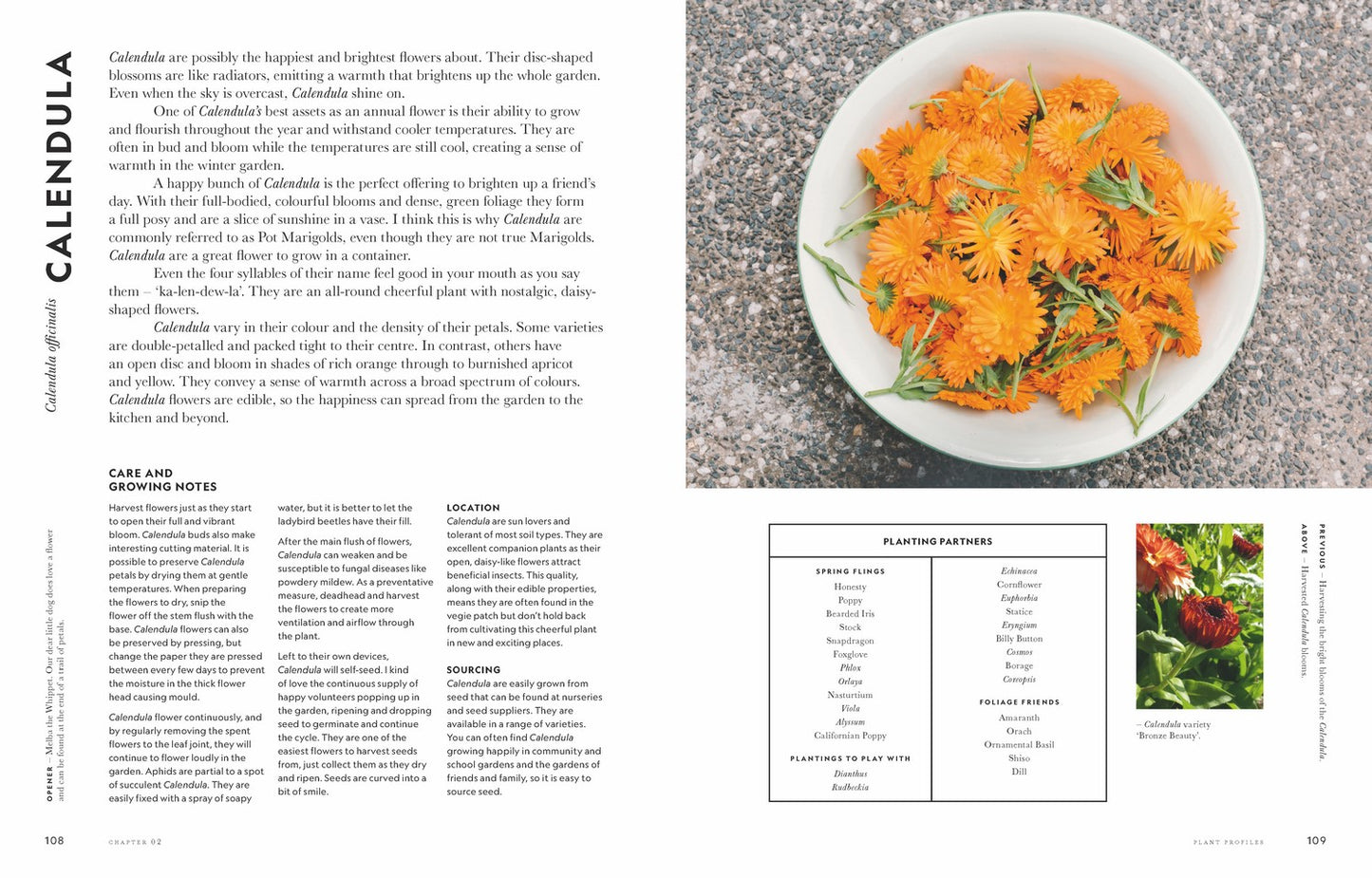 Super Bloom A field guide to flowers for every gardener By: Jac Semmler