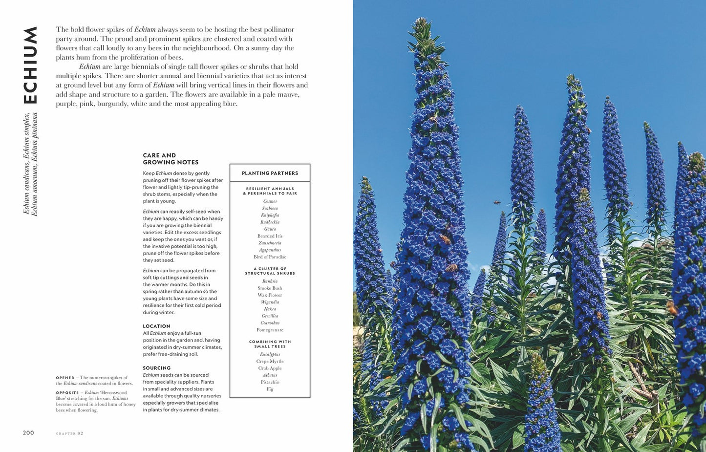 Super Bloom A field guide to flowers for every gardener By: Jac Semmler