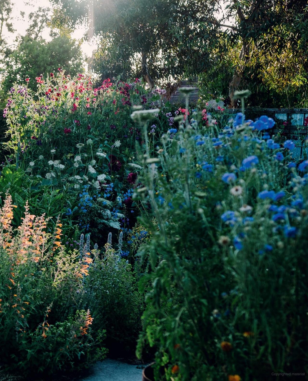 The Super Bloom Handbook Maximum flowers. Minimum effort. By: Jac Semmler