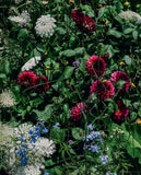 The Super Bloom Handbook Maximum flowers. Minimum effort. By: Jac Semmler